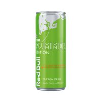 Red Bull Summer  Curuba Holunder 250ml