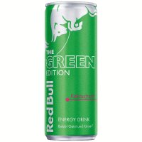 Red Bull Green - Kaktusfrucht 250ml